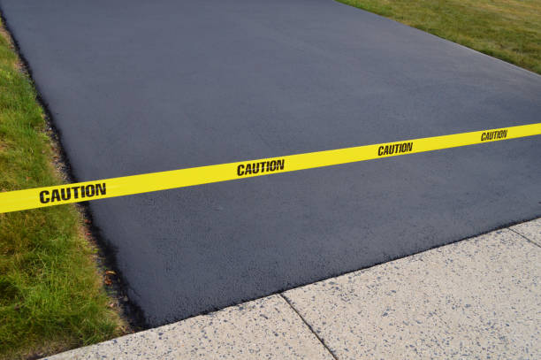 Best Driveway Drainage Solutions in Benld, IL